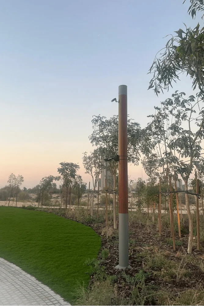 A slim lighting column at the edge of a lawn at dusk, young trees and open ground stretching away behind it