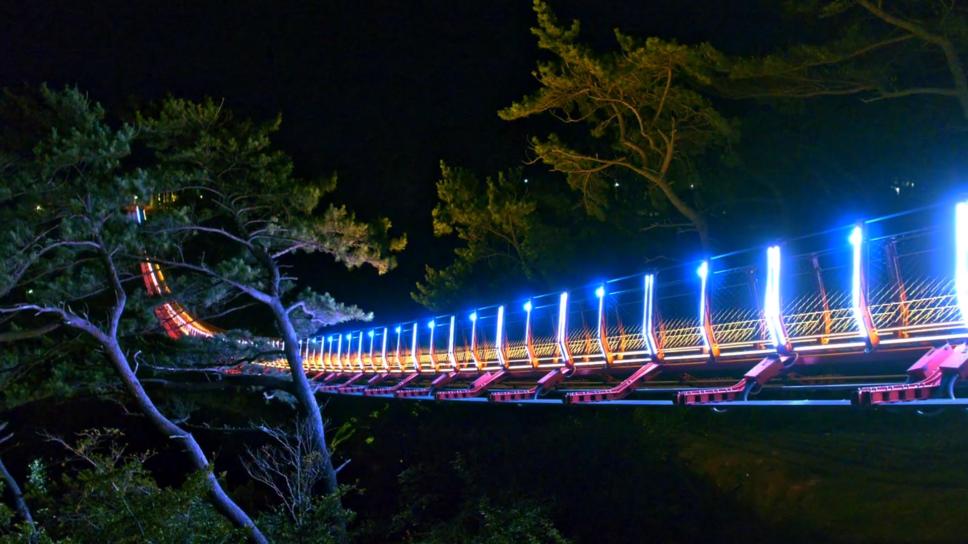 Daewangam Park suspension footbridge illuminated at night with ENTTEC OCTO pixel control