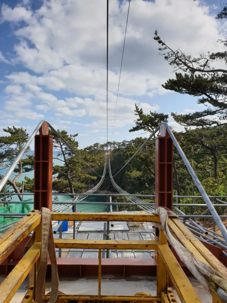 Timber formwork at the bridge abutment, the steel pylon and main cables sagging away between pine trees under cloud