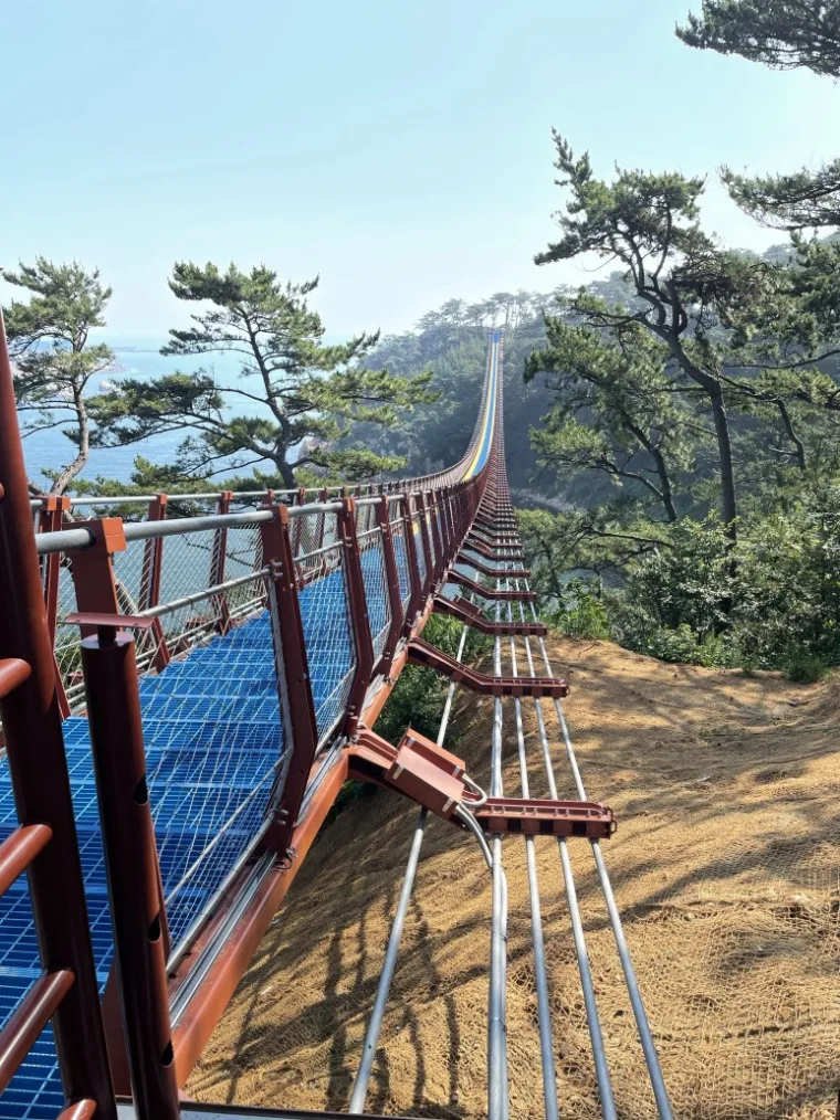 The finished blue and yellow deck dropping downhill through pines, red handrails either side and cable anchors in the sandy ground