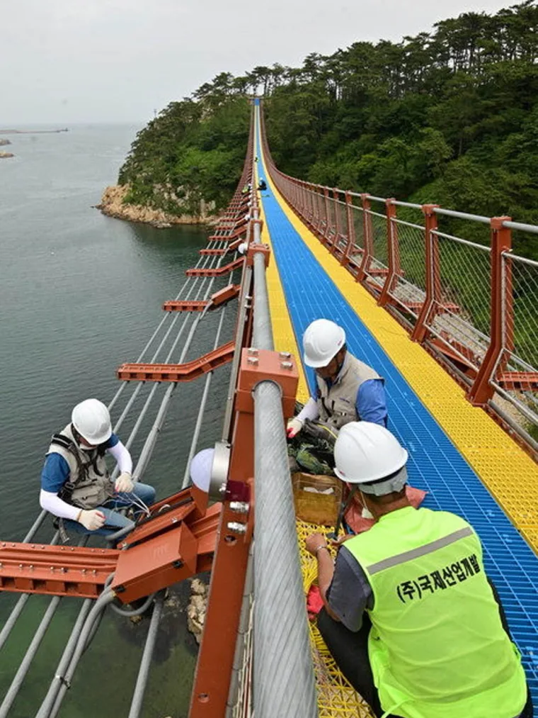 A crew leaning over the red handrail at mid span to work along the deck edge, sea water directly below