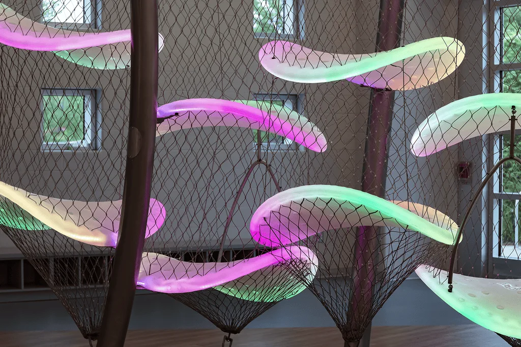 Magenta and green platforms lit against a bare concrete wall, net funnels hanging beneath them