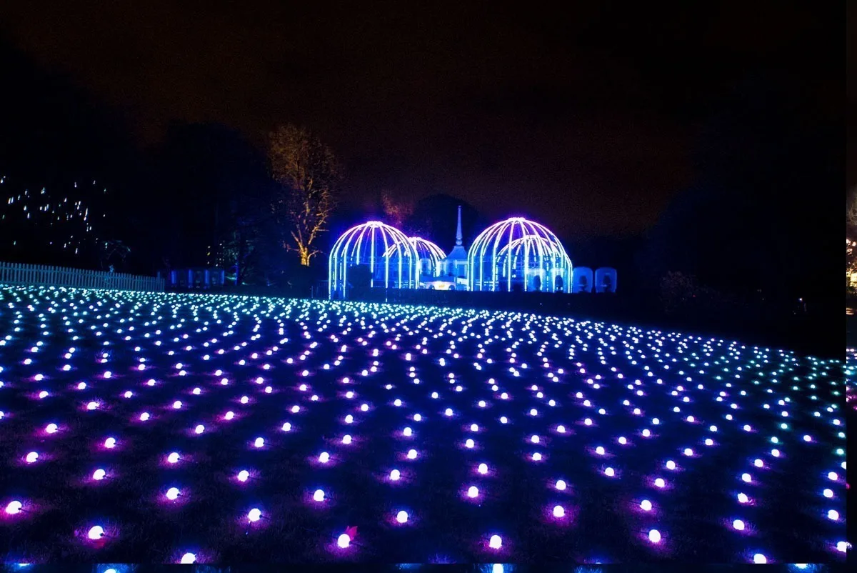 Thousands of glowing spheres spread across a dark lawn in blue and magenta, lit glasshouse domes at the far end