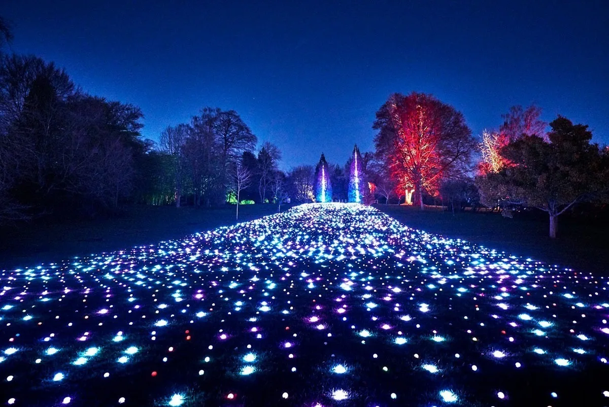 The same lawn of light spheres from the other side, deep blue sky above and red uplit trees on the rise behind
