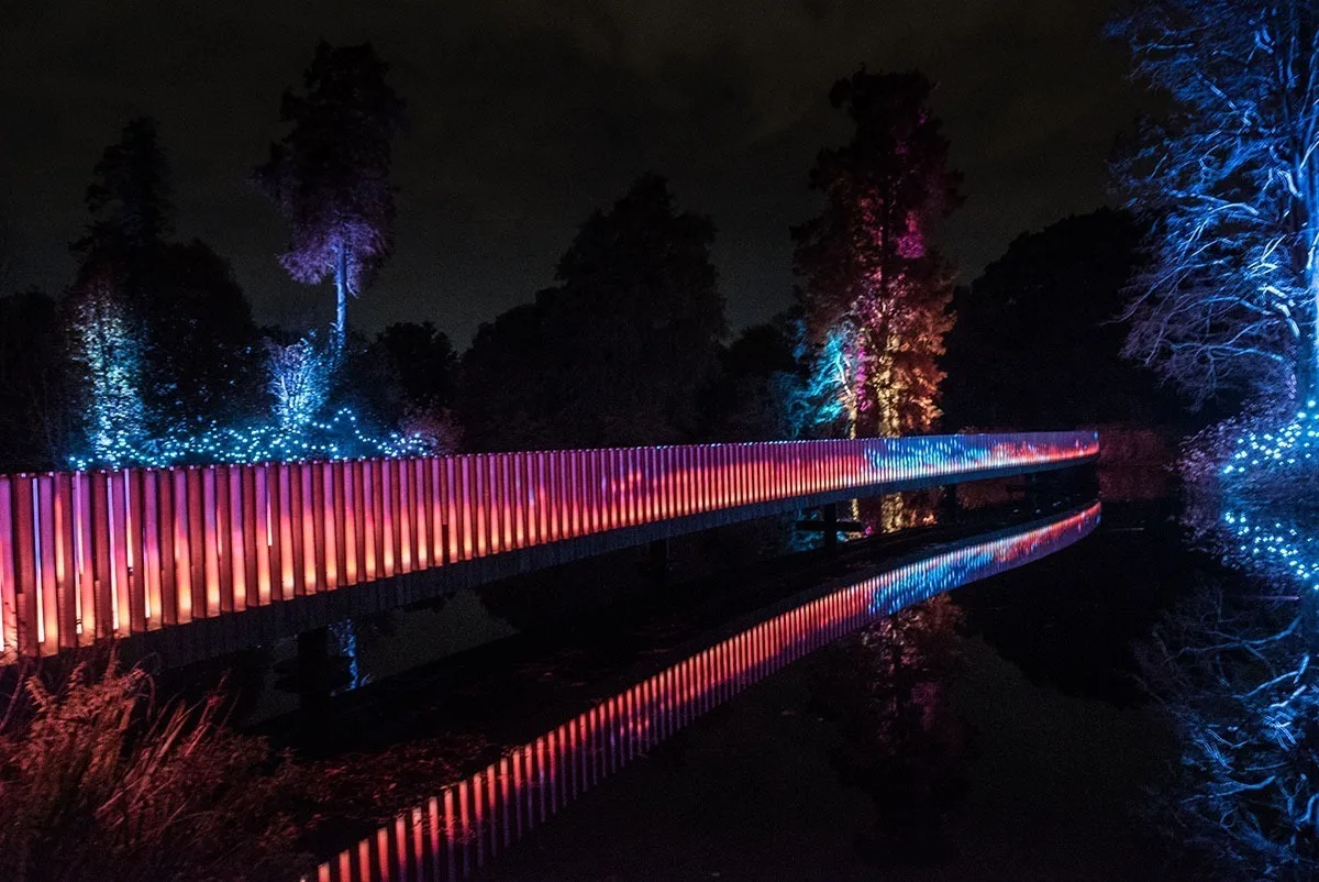 Bridge balustrade in red and pink, the reflection running the length of the lake with blue uplit shrubs on the bank