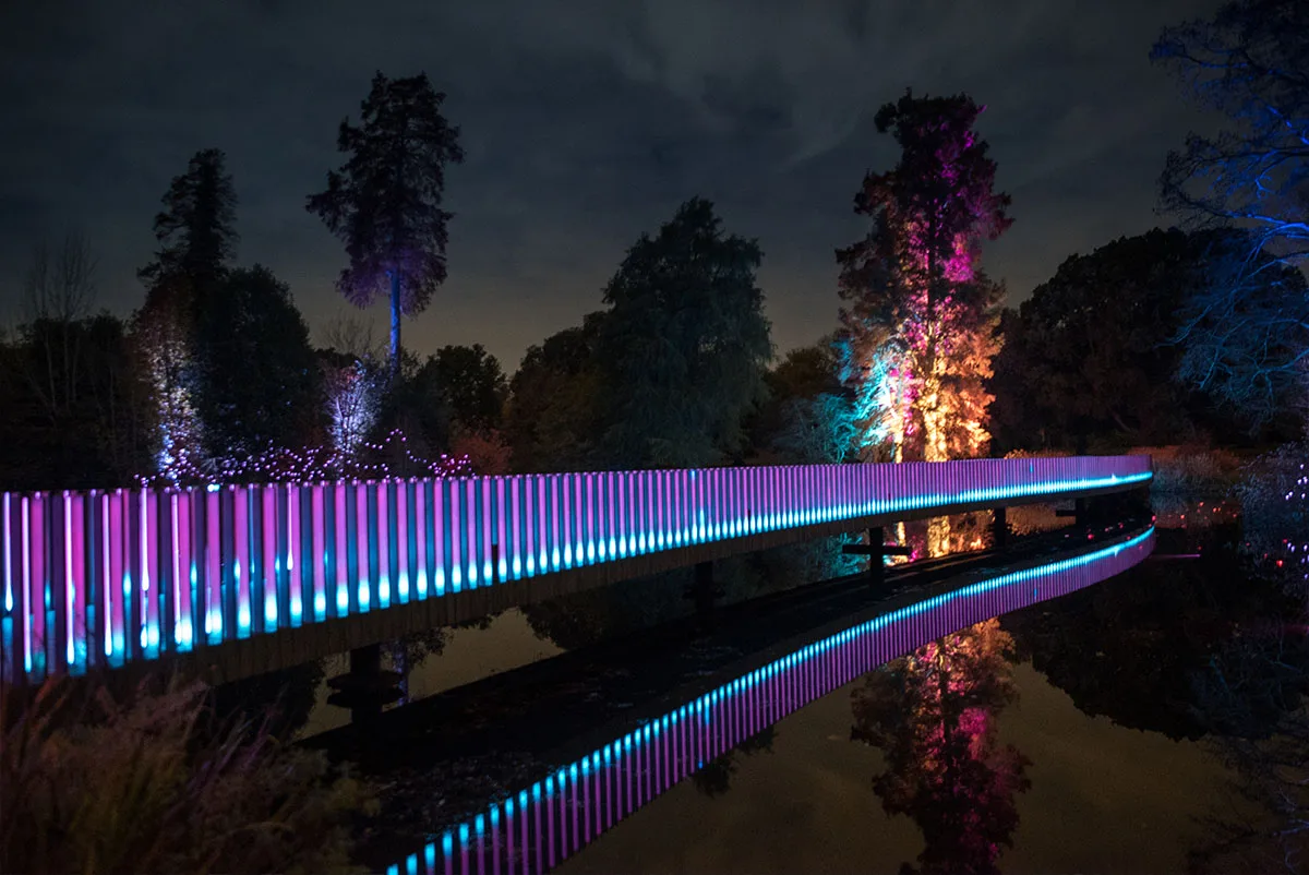 The balustrade in pink and violet with amber uplit trees behind, the curve of the crossing picked out in the reflection