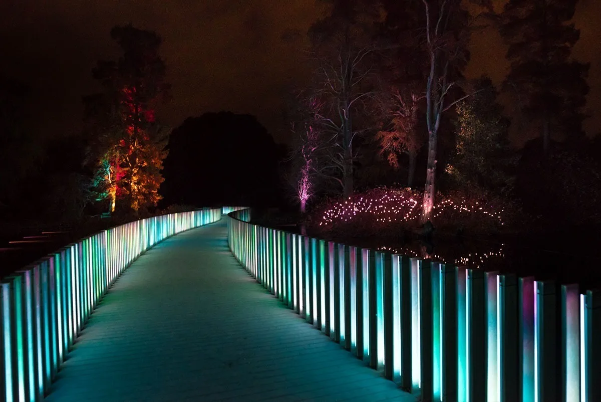 The bridge deck lit green and teal, uprights in mixed colours and red uplit trees at the far bank