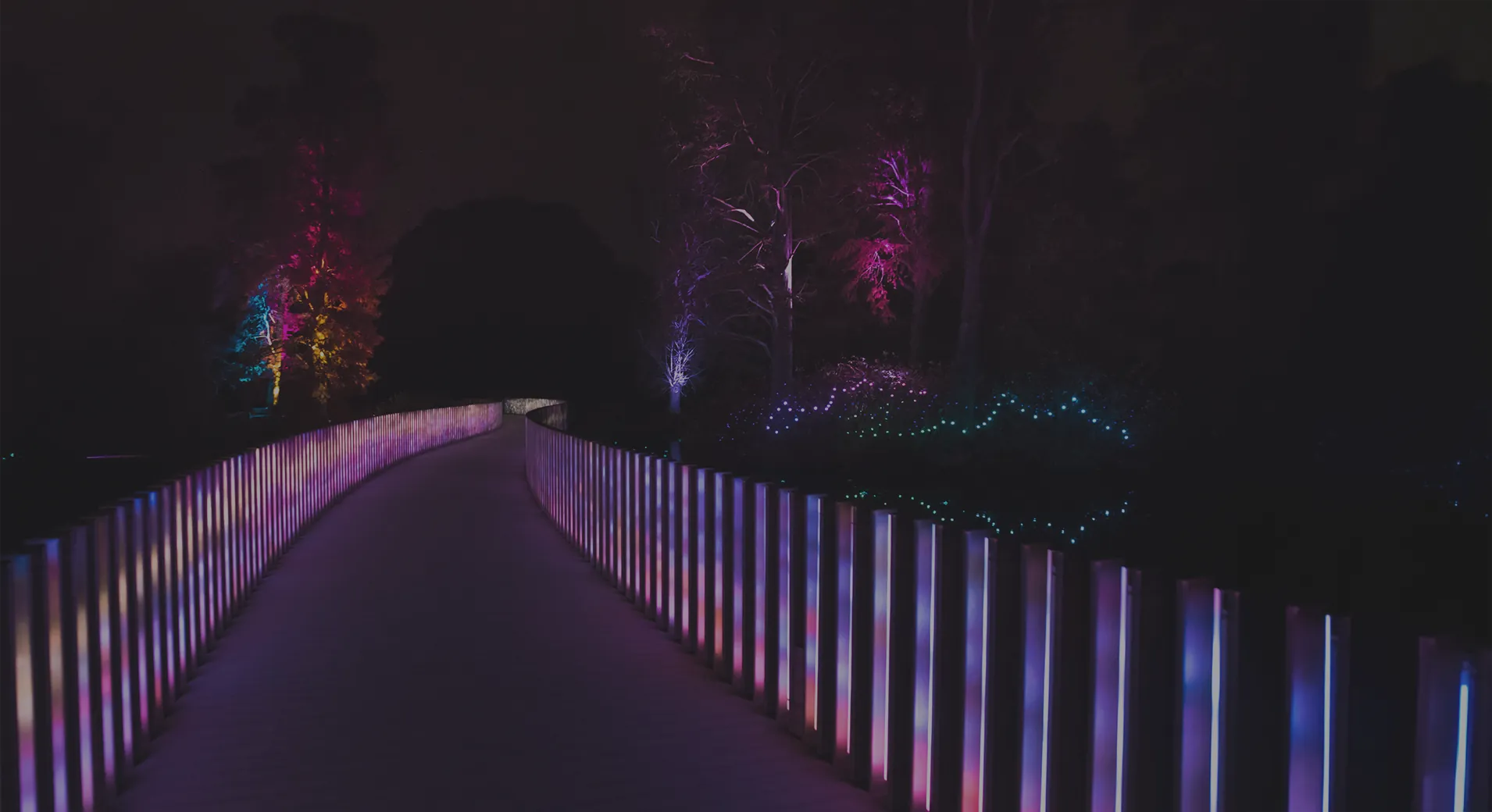 Looking along the Sackler Crossing at Kew after dark, its balustrade of vertical light bars running pink and violet into the trees