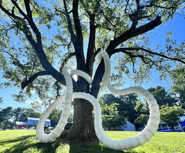 The unlit white tubing wound around a large tree trunk on a summer lawn, blue sky through the branches
