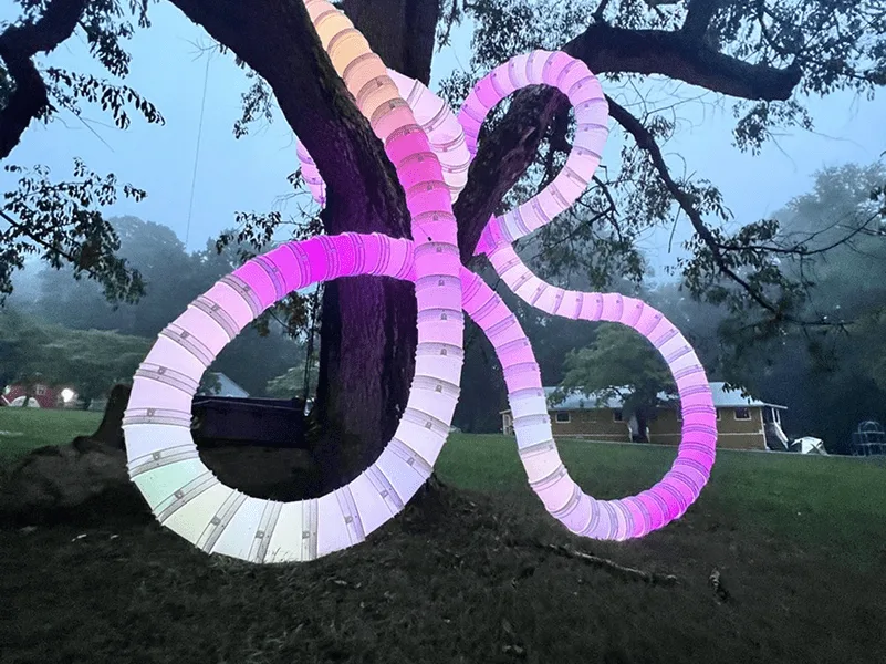 Tubing around the tree trunk lit soft pink and white in evening mist, park buildings faint in the background