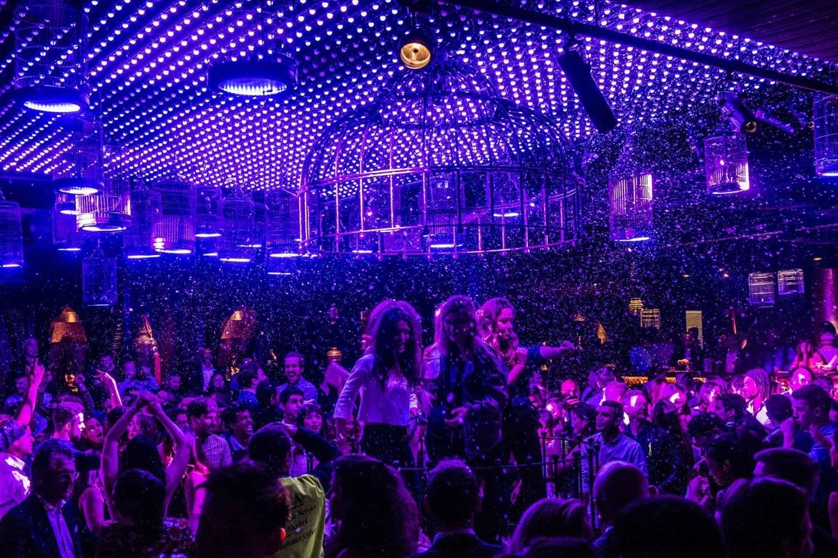 Hands in the air across the crowd, the ceiling washed violet with the dots picked out in tight rows