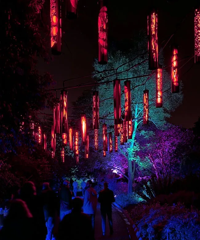 Close view of lanterns lit red, the printed acrylic showing its enlarged microscope imagery
