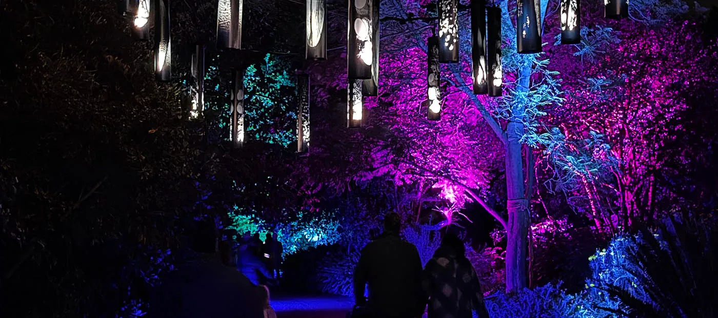 Wide view down the trail at night, a visitor silhouetted beneath the lanterns
