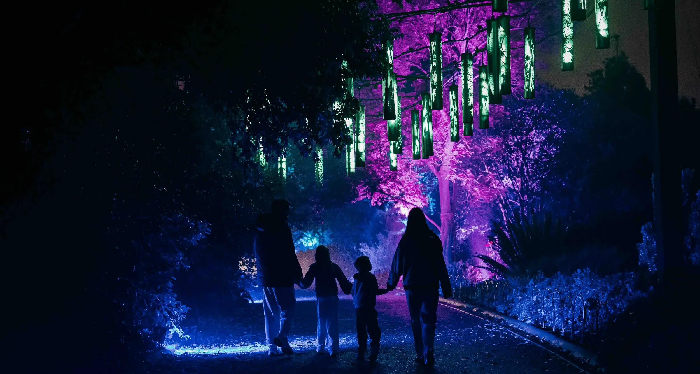 WILDERNESS WITHIN, Lightscape Melbourne, Arts and Culture, Australia