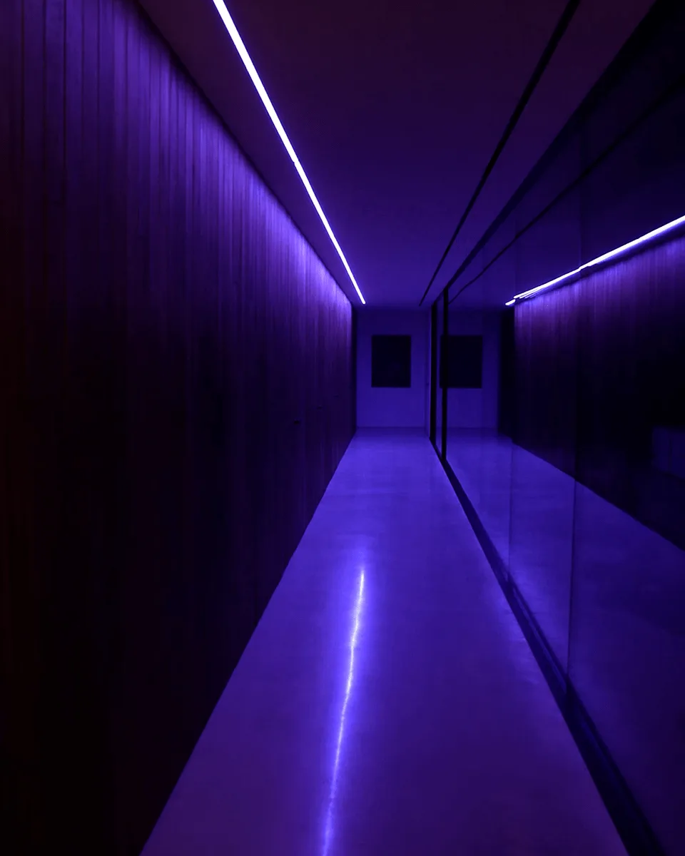 The corridor after dark saturated in violet, the light line doubled in the mirror-like floor