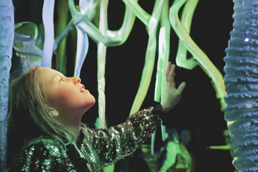 Light Show Control system | ENTTEC : ENTTEC