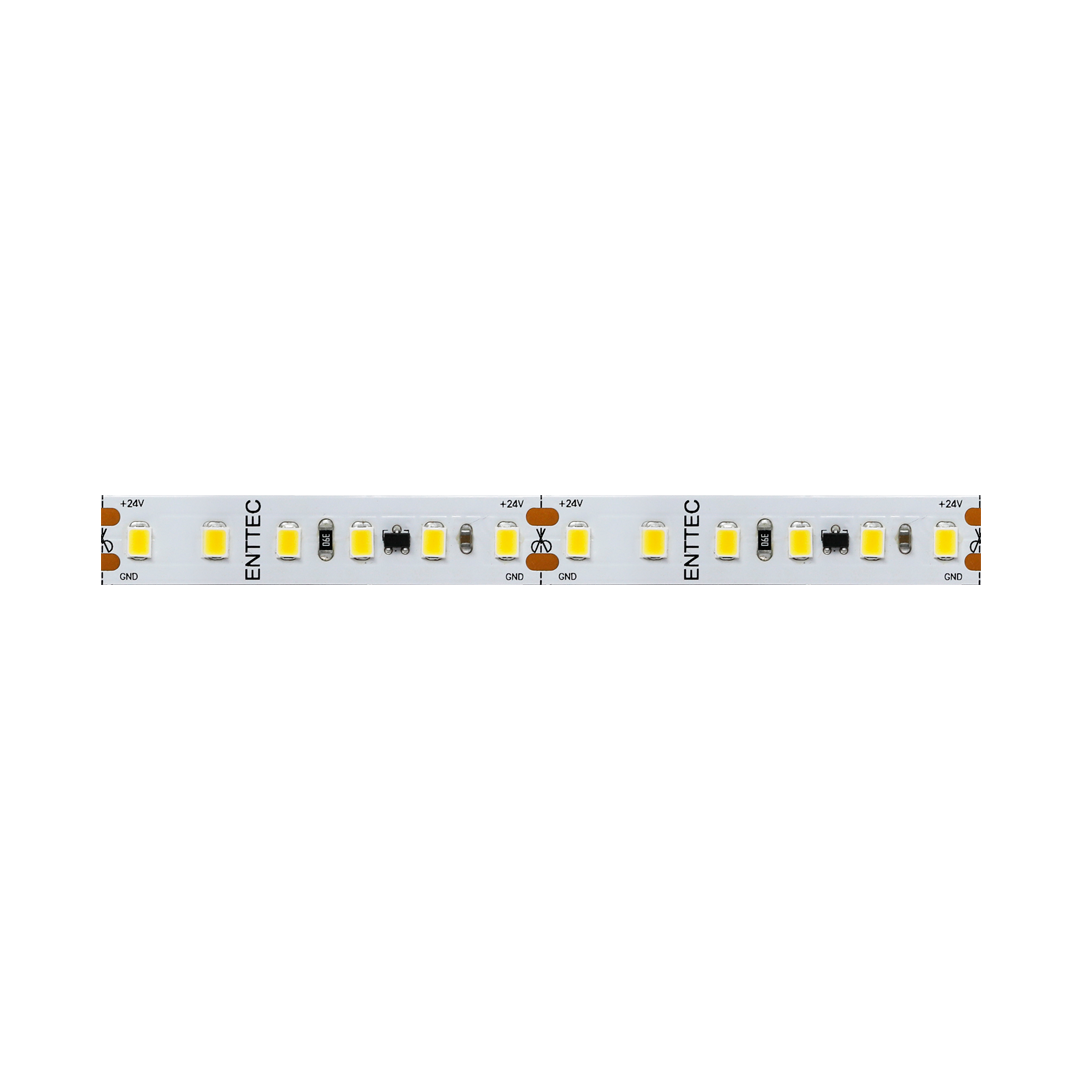 White Constant Voltage LED strip (10m)